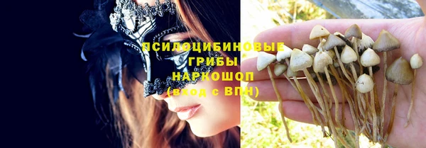 ПСИЛОЦИБИНОВЫЕ ГРИБЫ Березники