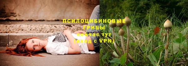 винт Покачи