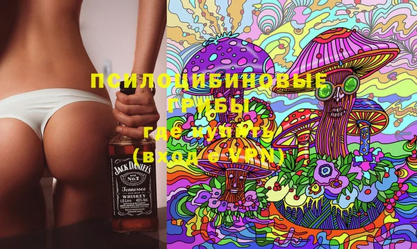 шишки Бородино