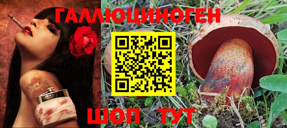 Галлюциногенные грибы мицелий  Псилоцибиновые грибы GOLDEN TEACHER  Краснодар 